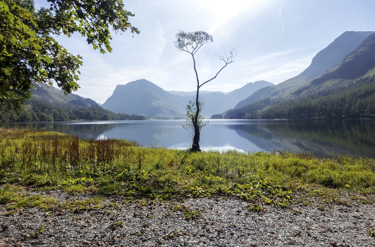 Lake Buttermere in the UK, which has lost nearly half of its biodiversity over time.