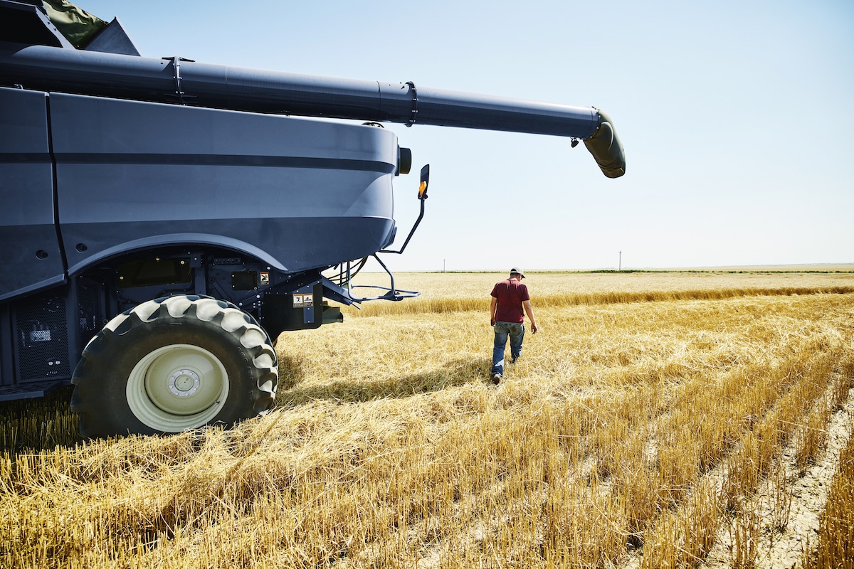 A combine harvester in a Colorado wheat field.