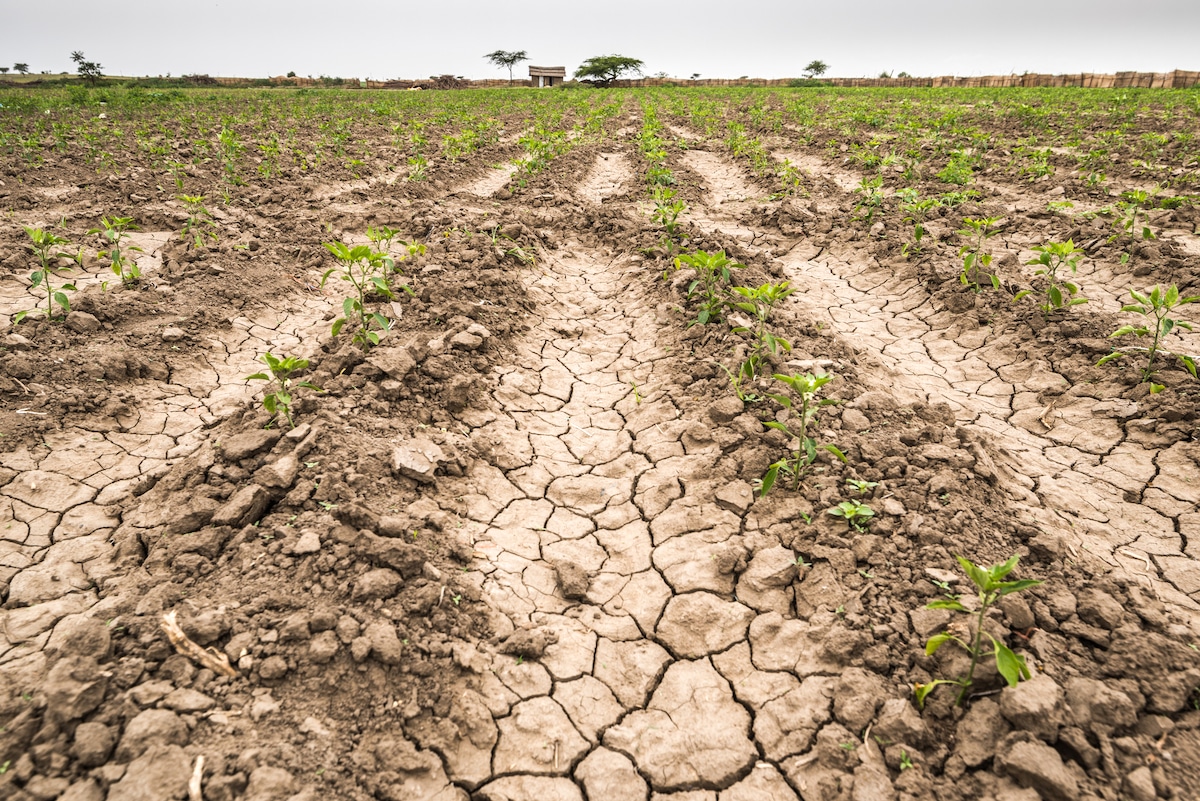 Parched soil in Ethiopia