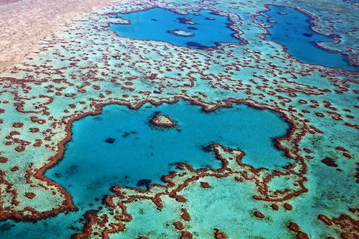 An aerial view of Heart Reef, part of the Great Barrier Reef in Queensland, Australia