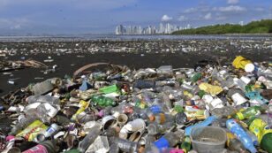 Scientists Say It’s Time to Phase Out Plastics to Stop Sea of Pollution