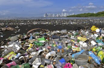 Scientists Say It’s Time to Phase Out Plastics to Stop Sea of Pollution