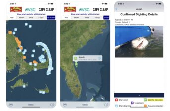 New App Shows Sharks Near Coastlines to Help Keep Sharks and Humans Safe