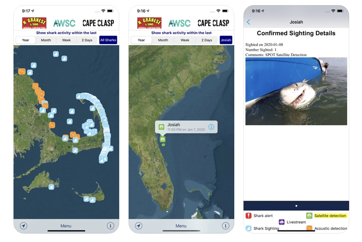 An App Store preview screenshot of the Sharktivity iPhone app.