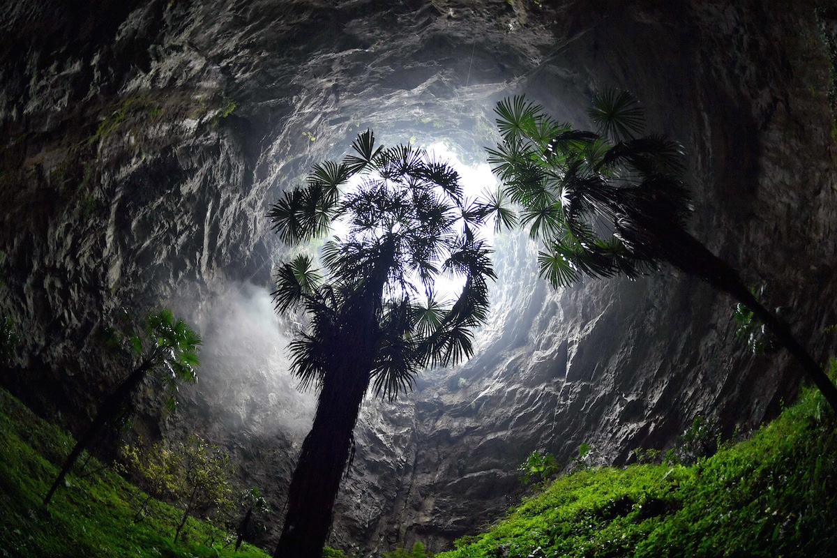Palm trees growing out of a giant sinkhole in China