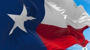 Texas Electricity Rates and Providers (March 2023)