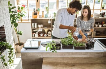 Guide to Eco-Friendly Renting: How to Live Sustainably in an Apartment in 2022