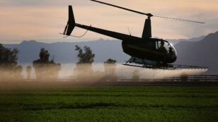 California Judge Halts Pesticide Spraying Program