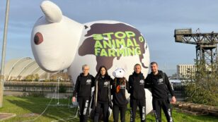 Young Activists Disrupt Bonn Climate Talks to Call for Plant Based Treaty