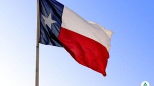 Why Are Texas Electric Rates So High? (2023 Guide)