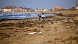 Bacteria Found on Beach Plastic Could Be Public Health Risk