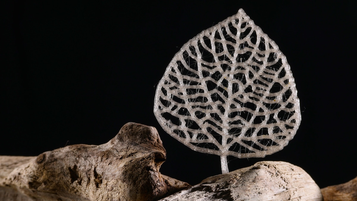 A 3D-printed “leaf” made with the new bioplastic
