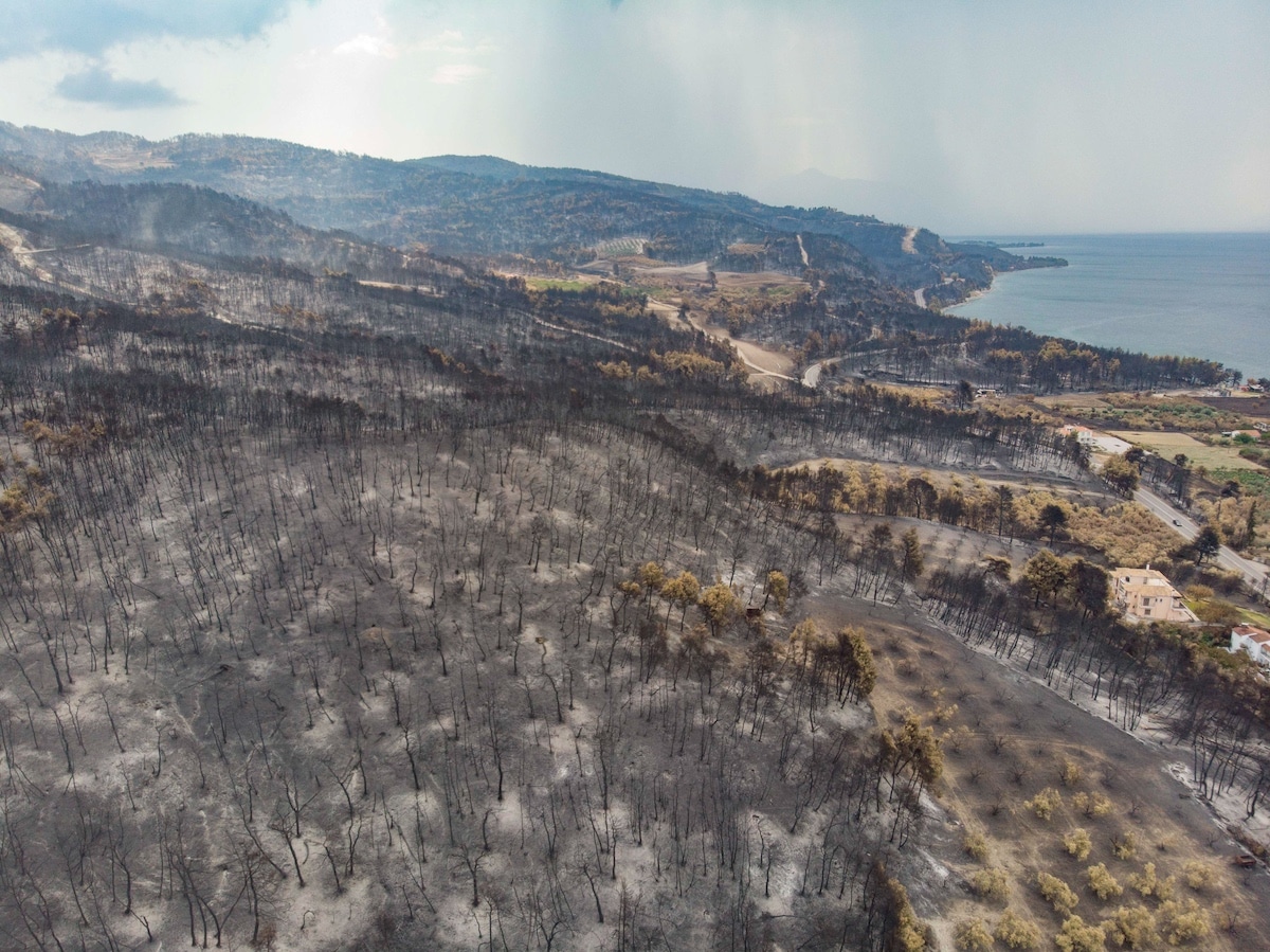 The aftermath of wildfires in Evia island, Greece in August 2021