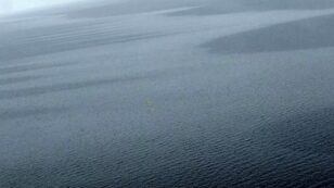 Huge Mystery Spill Detected Off Coast of Sweden