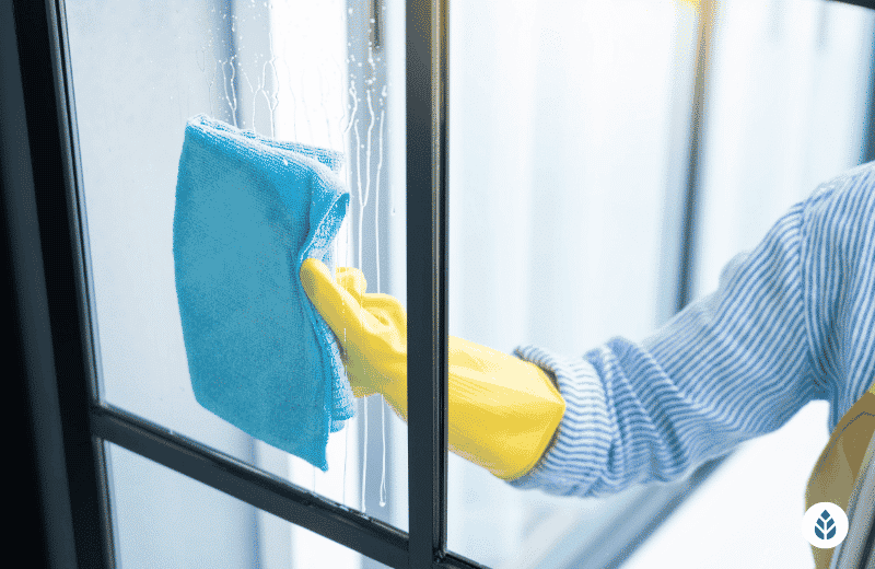 How to Clean Windows (2023 Homeowner’s Guide)