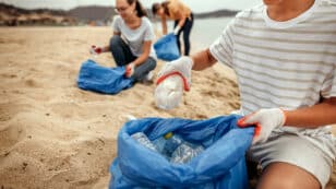 How to Organize a Local Beach Cleanup
