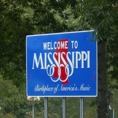 Mississippi window replacement companies