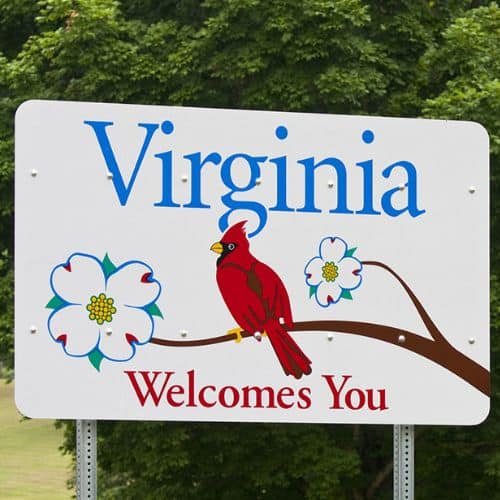 Virginia window replacement companies