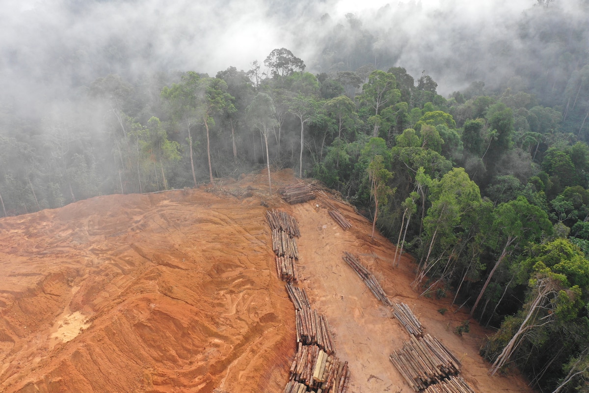 An aerial view of deforestation from logging in Thailand