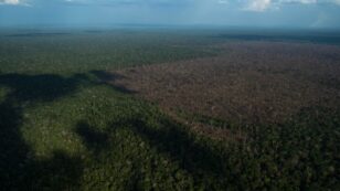 Brazil’s Amazon Lost Record Amount of Forest During First Six Months of 2022