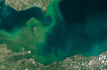 To Reduce Harmful Algal Blooms and Dead Zones, the U.S. Needs a National Strategy for Regulating Farm Pollution