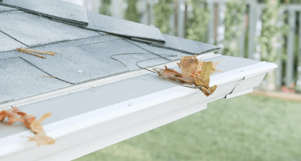 pine needle gutter guards LeafFilter