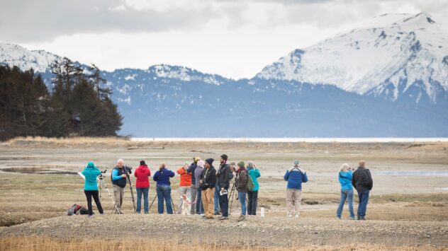 Birdwatchers Flock to Alaska, Bringing Millions in Revenue and Incentives for Habitat Conservation
