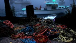 Federal Court Reinstates Lobster Fishing Gear Ban for Right Whale Conservation