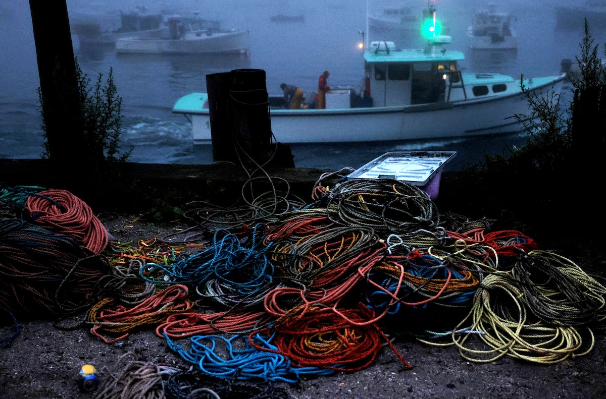 Ropes used for catching lobster in vertical buoy lines, in Maine