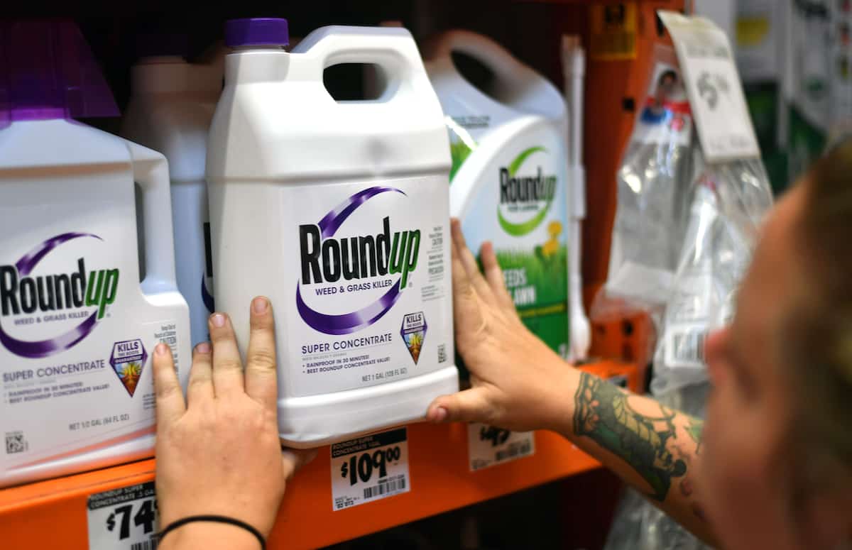 A store employee adjusts a Roundup display in California