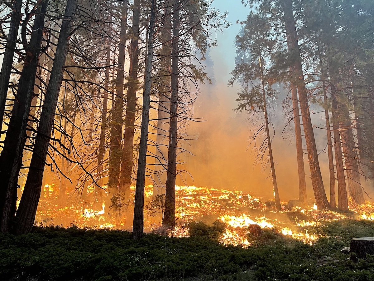 The Washburn Fire near Yosemite National Park's southern entrance