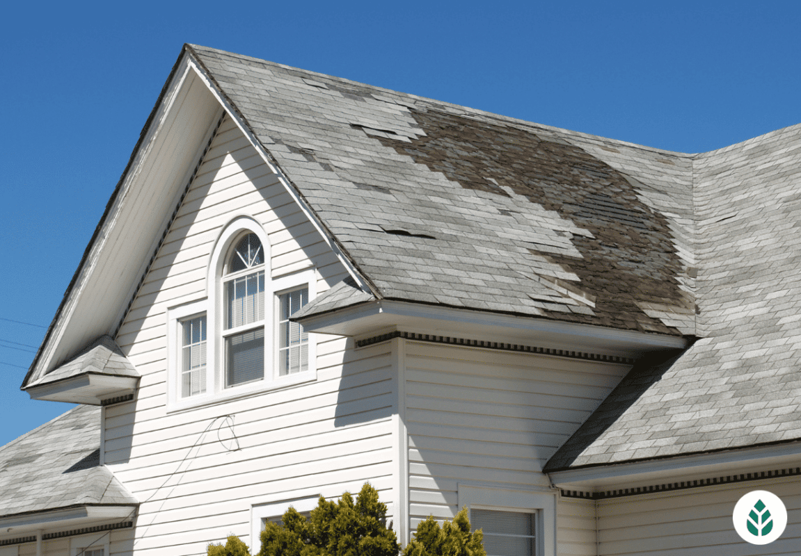 Roof Repair Cost & Buyers Guide (2023)
