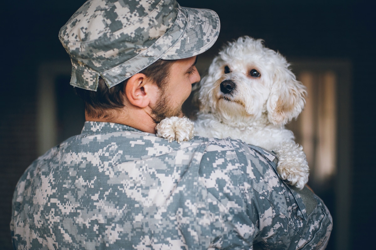 A soldier and his dog are reunited after a long time apart