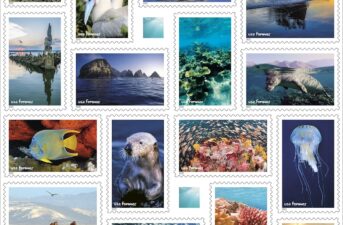 New Postage Stamps Celebrate 50th Anniversary of National Marine Sanctuaries System, Biodiversity