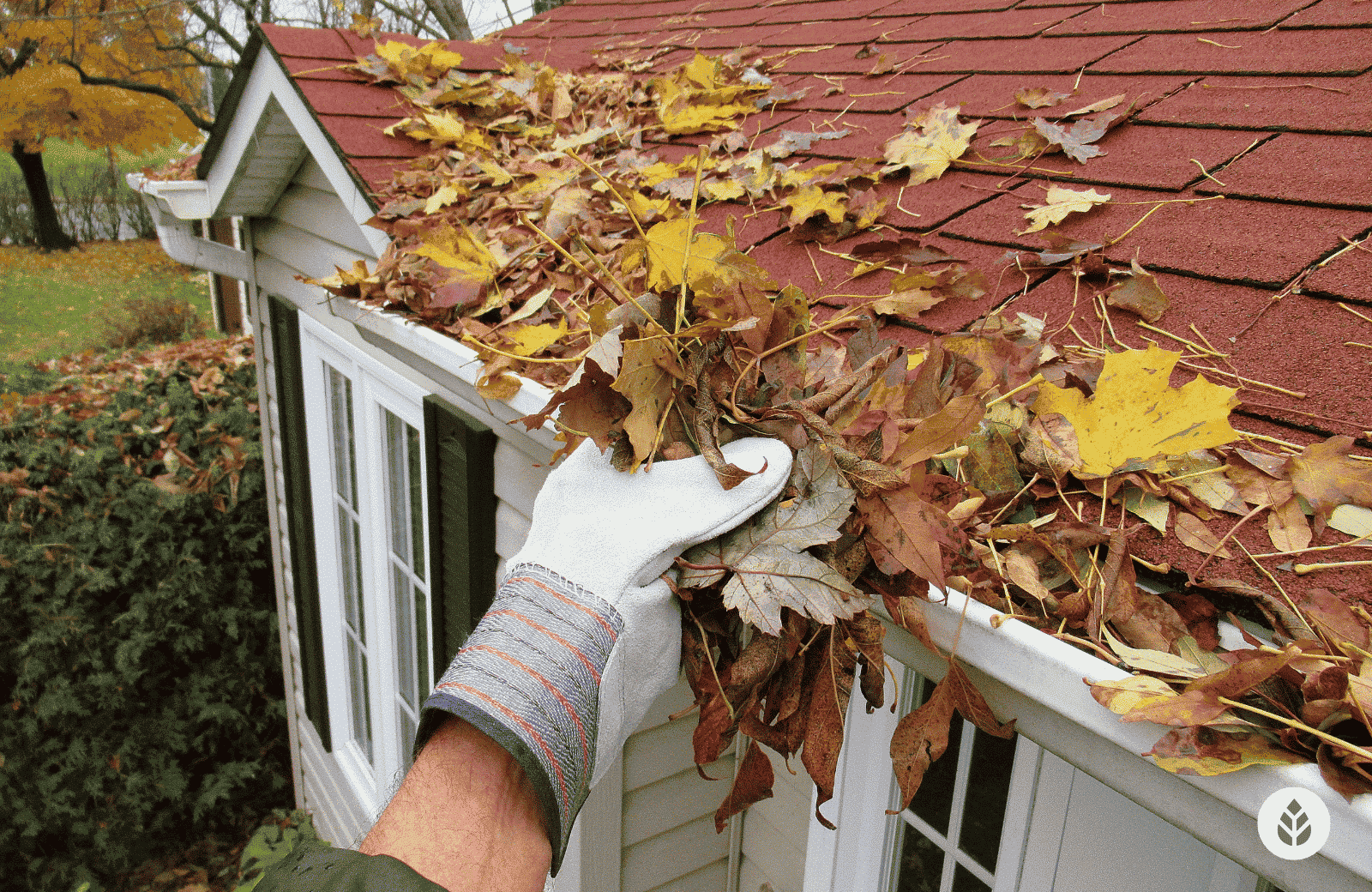 gutter services chicago il clogged gutter