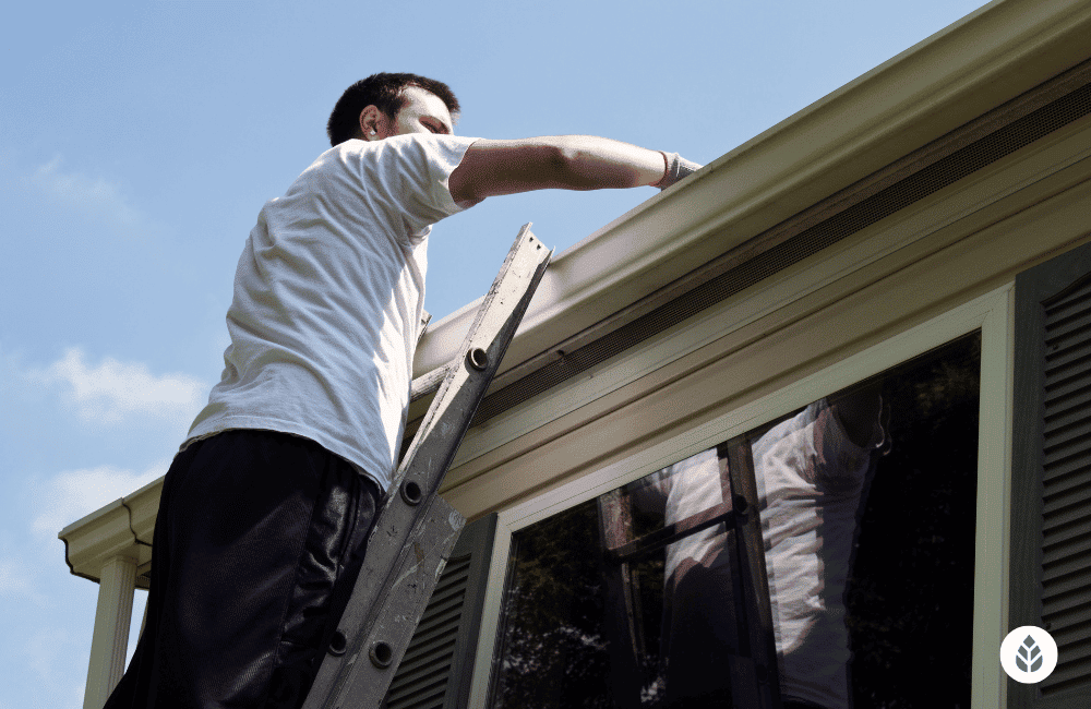 How to Install Gutter Guards (2023) DIY Guide