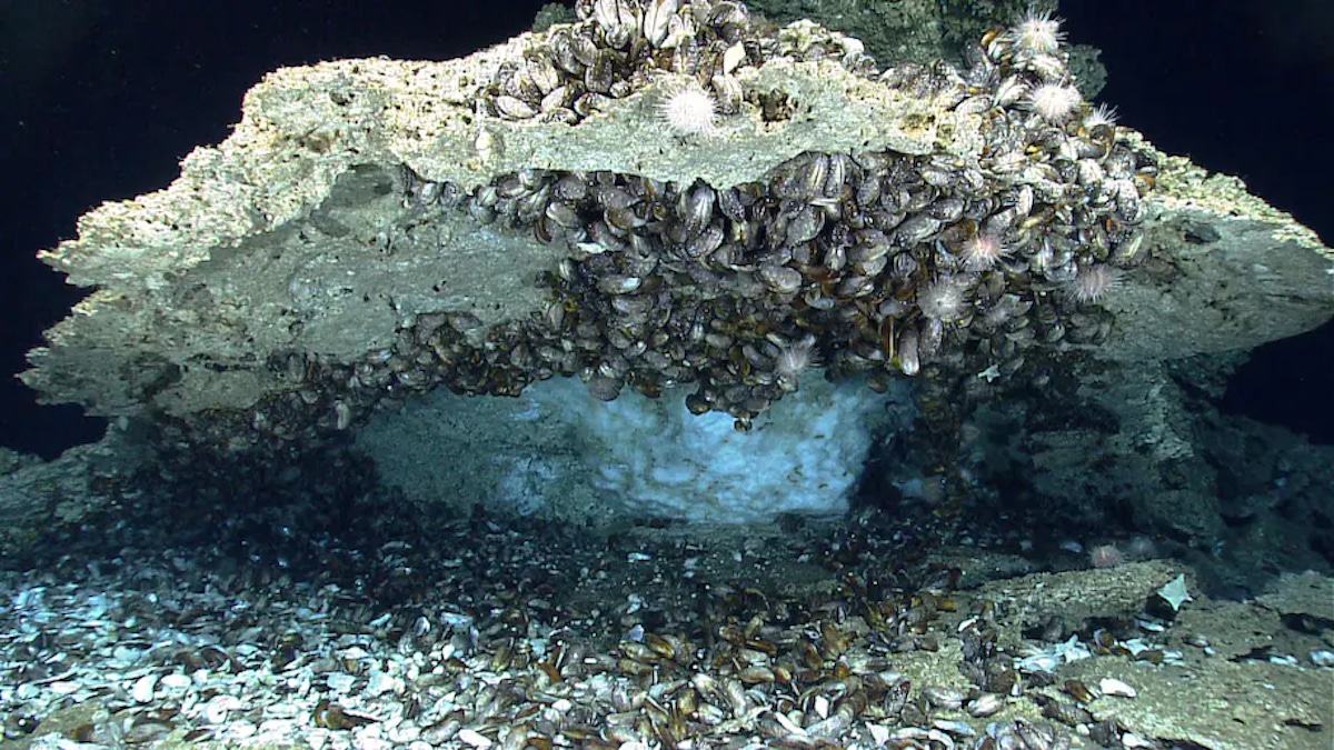 Study Shows How Warming May Have Released Sea Floor Methane in the Past