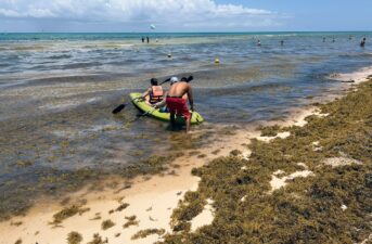 Record Amounts of Stinky, Fish-Killing Seaweed Swamping Caribbean Coasts