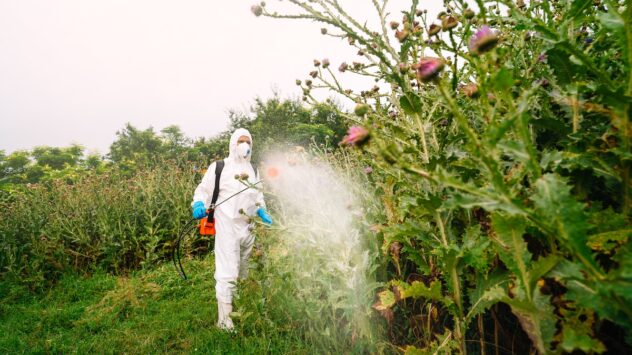 Roundup Weedkiller Linked to Convulsions in Animals