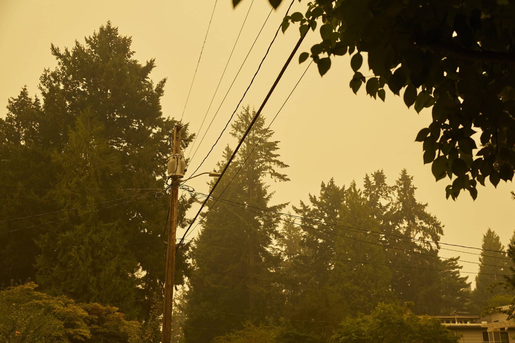 Low angle view of power lines and evergreen trees against a orange smoky sky caused by a wildfire