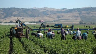 In Environmental Justice Win, California Gov. Signs Bill Making it Easier for Farmworkers to Organize
