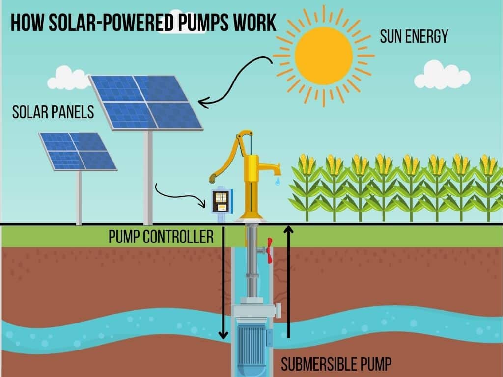 How Solar-Powered Pumps Work