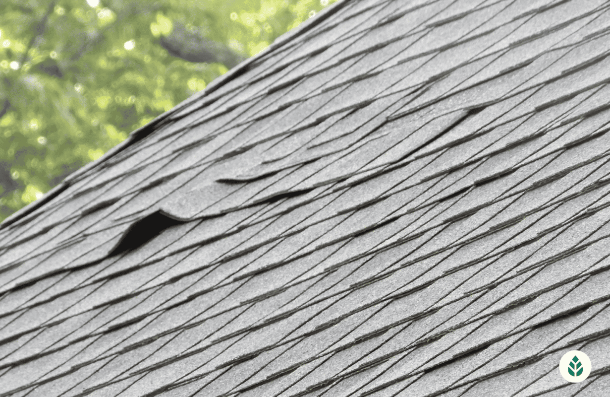DIY Roof Leak Repair: Tips & Tricks (2023)