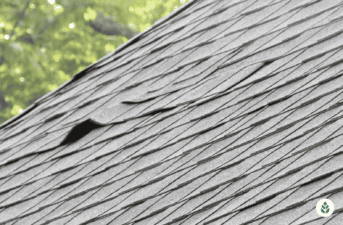 DIY Roof Leak Repair: Tips & Tricks (2023)