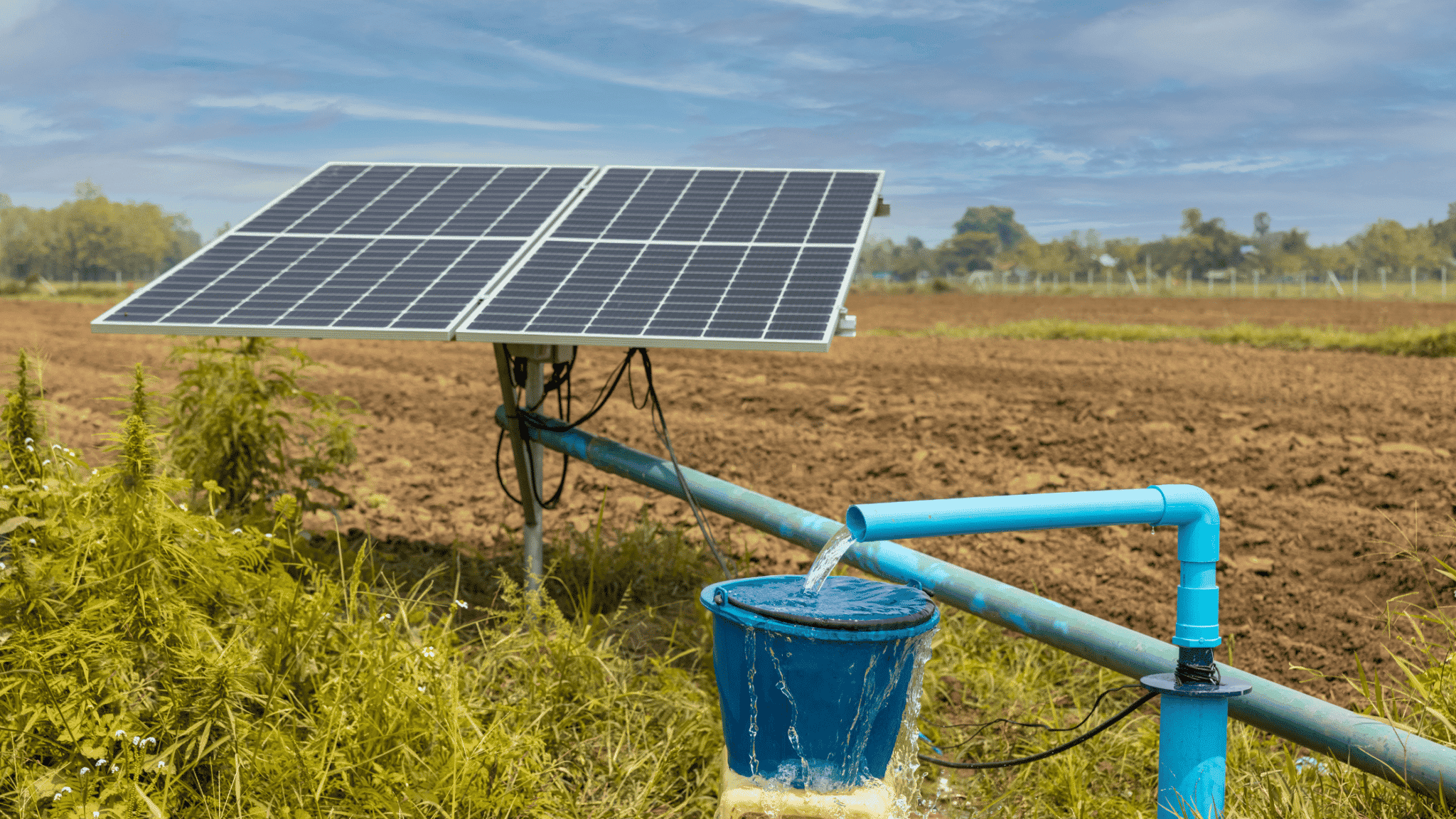 10 Best Solar Powered Water Pumps of 2024 (2024) - EcoWatch