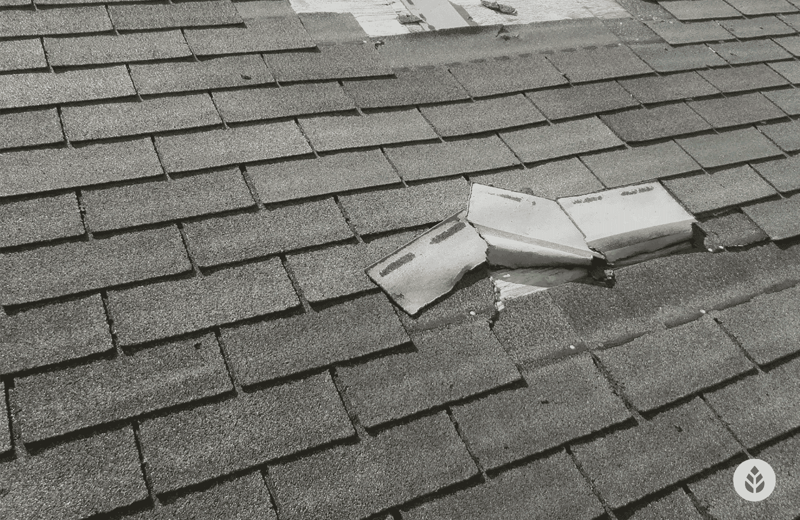 Asphalt Shingle Roof repair cost