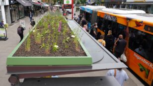 Pollinator Gardens on Bus Stop Roofs Grow Across Europe
