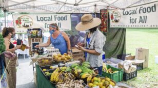 Local Food Movement: Everything You Need to Know
