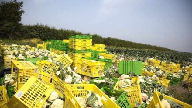 EU Wastes Much More Food Than It Imports Every Year, Study Finds
