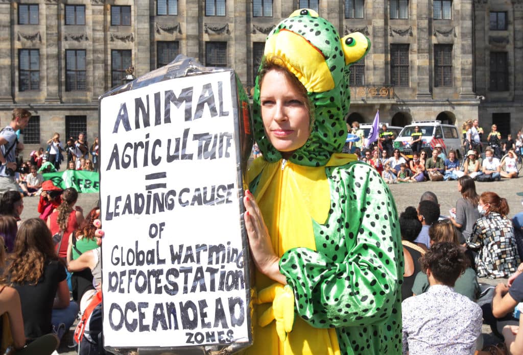 Demonstration To Stop Deforestation Of The Amazon In Amsterdam